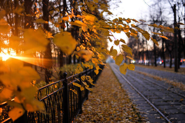 Театральный Санкт-Петербург. Куда пойти в ноябре?
