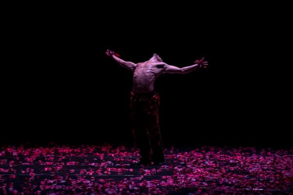 Балет Монте-Карло приедет на фестиваль «Дягилев. P.S.». Почему это важно?