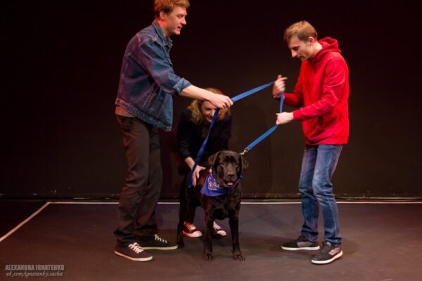Спектакль «Загадочное ночное убийство собаки» на фестивале «Уроки режиссуры»