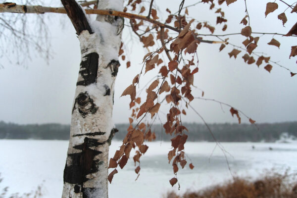 Лучшие спектакли февраля в Москве