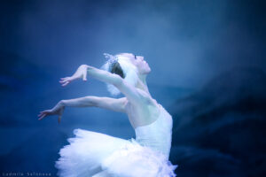 Read more about the article «Лебединое озеро» Московского театра балета классической хореографии «La Classique»