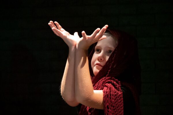 «Отчего я вам всем нужен?» Спектакль «Юшка» новосибирской студии «Инклюзион» показали на Платоновском фестивале в Воронеже