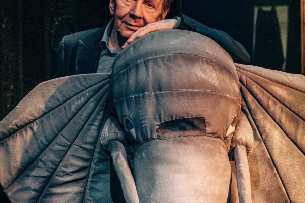 Участник спецоперации. Спектакль «Задняя часть слона», театр «Школа современной пьесы»