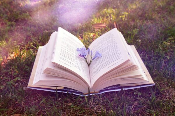 Современная драматургия. Знакомимся с пьесами-лауреатами конкурса «Действующие лица 2020»