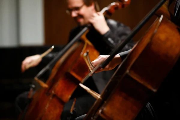 XIV Международный виолончельный фестиваль VIVACELLO.  Когда: с 12 по 26 ноября 2022