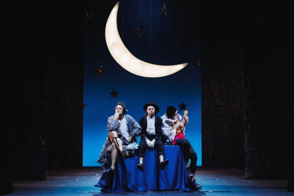 «Комедия двенадцатой ночи», Театр на Бронной