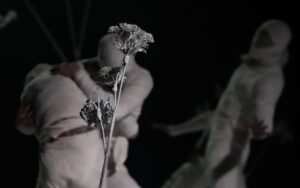 Подробнее о статье <strong>Балет Москва вдохновляет… Вечер «Танц NUVO»</strong>