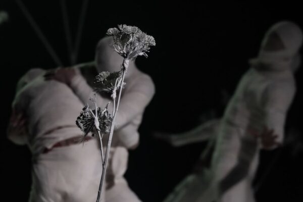 Балет Москва вдохновляет… Вечер «Танц NUVO»