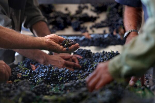 Мастер-классы на VINSPIRATION 2023