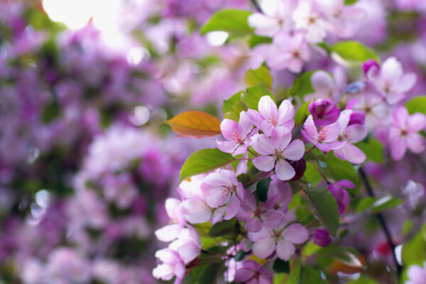 Театральная афиша Москвы. Май