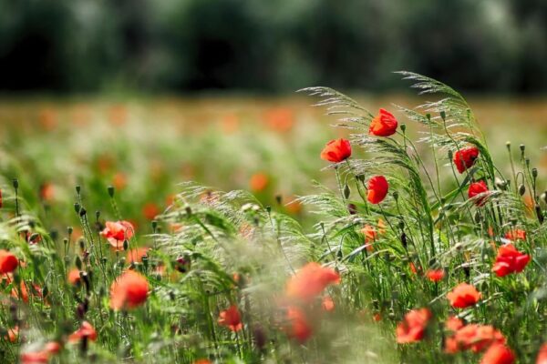 Театральное межсезонье. Что посмотреть в июле в Москве