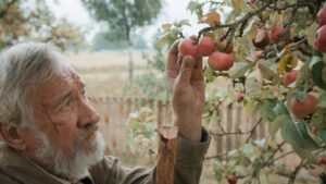 Подробнее о статье Проект «Сила добра» – игровой фильм по рассказам классиков литературы