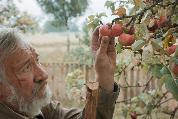 Проект «Сила добра» – игровой фильм по рассказам классиков литературы