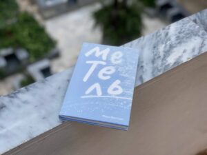 Подробнее о статье Стужа и холод прошлого в романе Мари Вентрас «Метель»