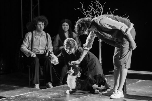 Зрители vs актеры в новом спектакле Аси Князевой. Театр «Вахтанговский Практикум»