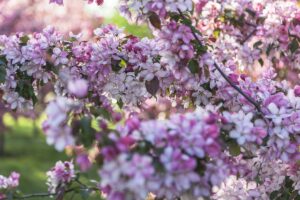 Подробнее о статье Театральная афиша Москвы. Премьеры мая