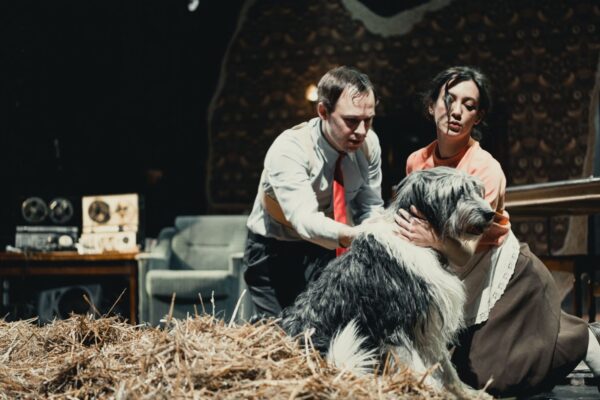 Попытка разъяснить сову. «Собачье сердце» Антона Федорова в МТЮЗе