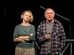 Подробнее о статье Стойко или стоически? Спектакль по пьесе Дмитрия Данилова в воронежском Арт-центре «Прогресс»