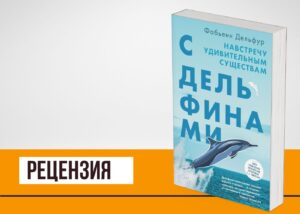 Подробнее о статье «С дельфинами» Фабьенн Дельфур: увидеть мир дельфиньими глазами