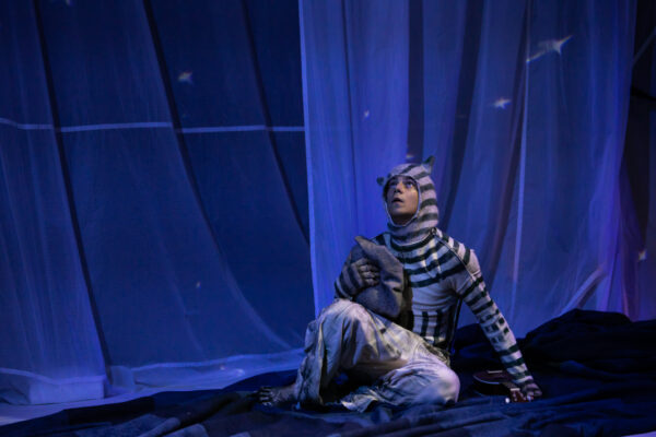 В поисках своего острова: новый спектакль «Кит плывет на север» от «Театрального проекта 27»