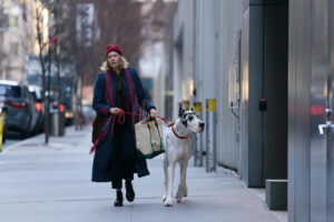 Подробнее о статье 150 фунтов одиночества: фильм, в котором собака важнее слов