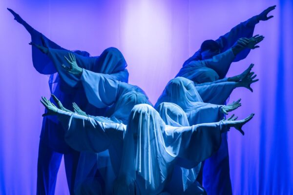 И только небо тебя поманит… «Синяя птица» в Театре марионеток им. Е.С. Деммени